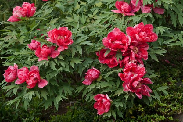 Mon robot de piscine ne fonctionne plus : que faire ?